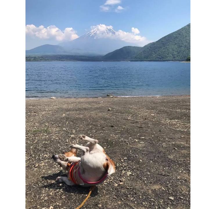 Cdceba63 b83a 4a9b acb5 17f4233416e8 1653097263466