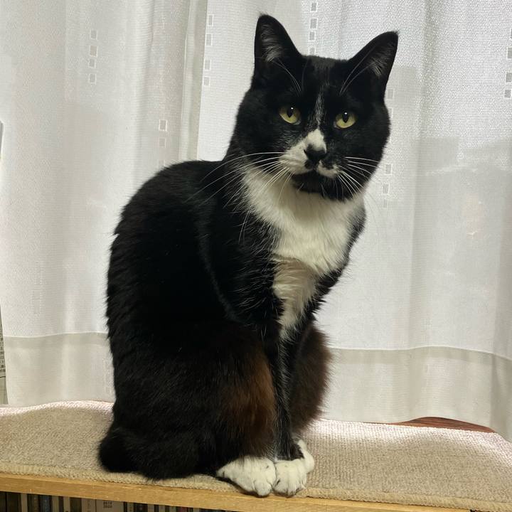 Cdcf1f20 6e45 42d8 b241 e5870f388ec8 1711943195288