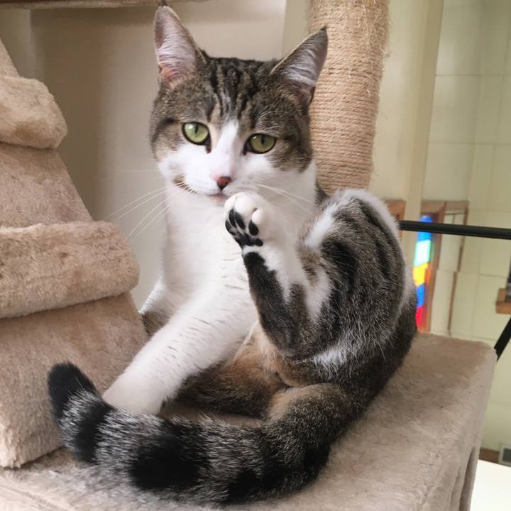 Cdcf2f9b 0ce7 4c98 b69c ca3973bbd151 1617477568296