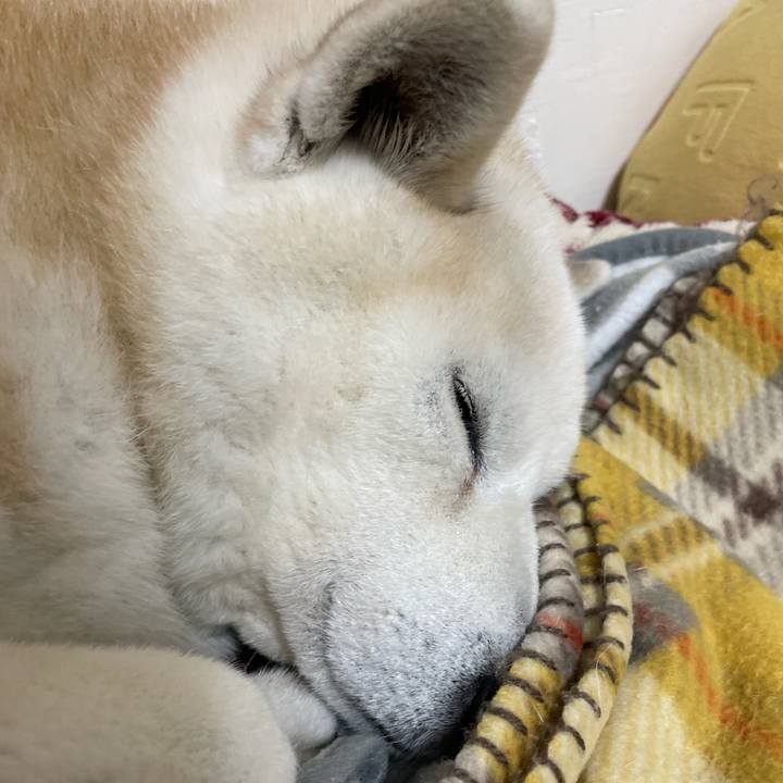 Cdcfaa5c a7db 4520 b58c 61f81c269636 1671457303075