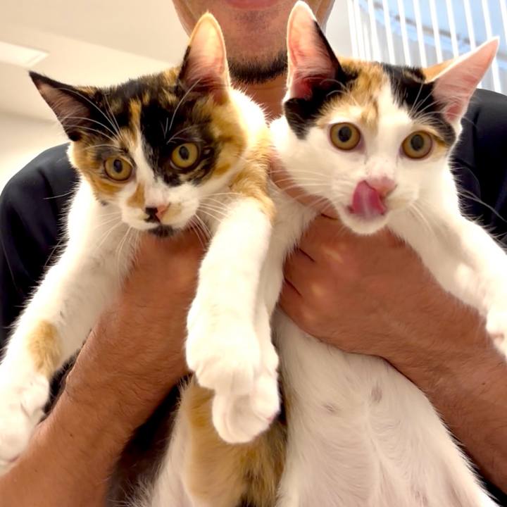 Cdd021ea a4f5 4592 8e90 092a51943b73 1758891069483