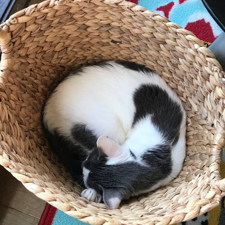 Cdd02563 25b6 4cd6 962b 522aa37933fb 1520934954760