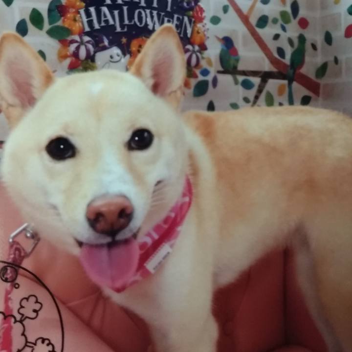 Cdd0341e 3990 4868 bcb7 99fd20828064 1539493449481