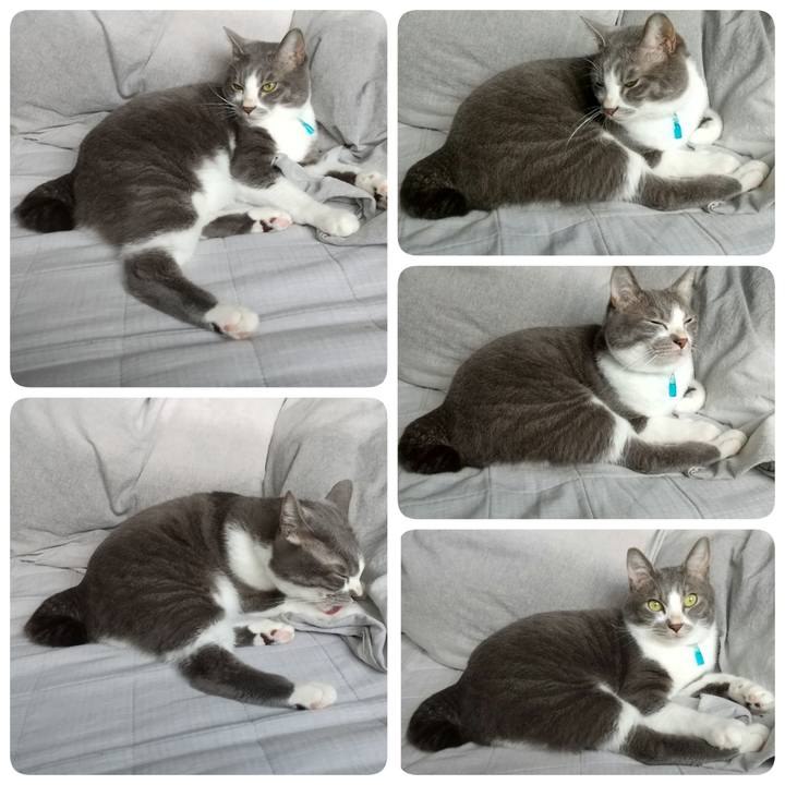 Cdd05531 226e 4456 b0a2 4116cc978ce2 1636329738399