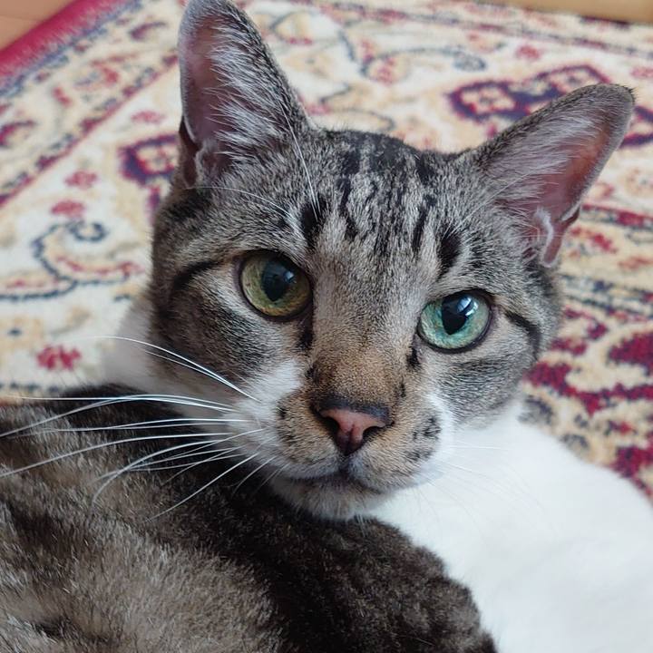 Cdd06d16 e95a 4119 af7d bf447fe25242 1699228290241