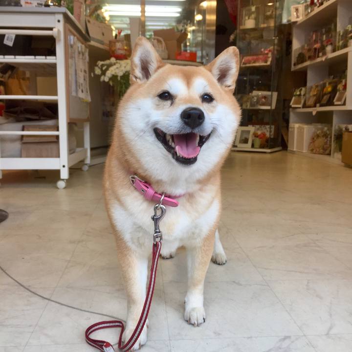 Cdd07040 a281 4703 8cda 513b72d74a8a 1523969577984