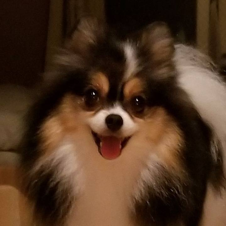 Cdd07abf 97c4 4a20 840b 07cd7ea138bb 1534851306761