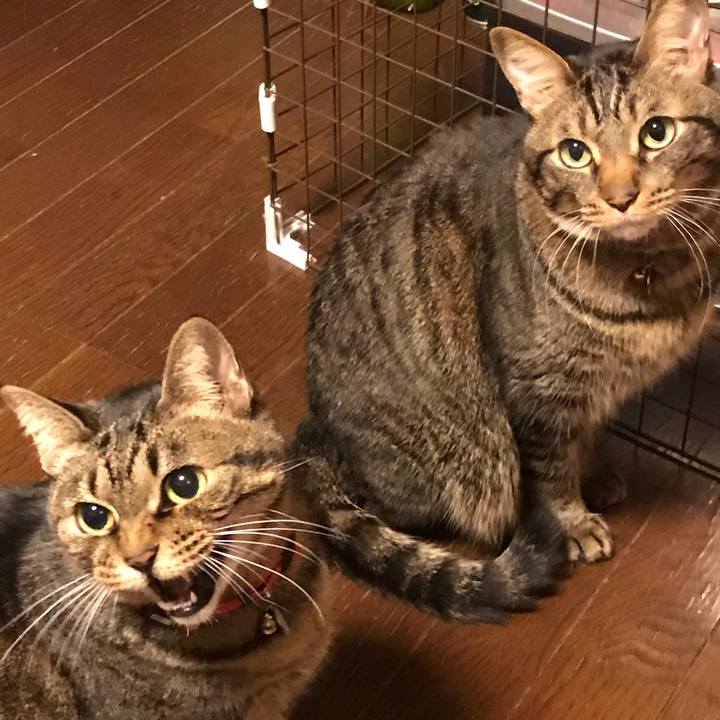 Cdd08772 63dd 434b 8289 eebe344ac98a 1611270990911