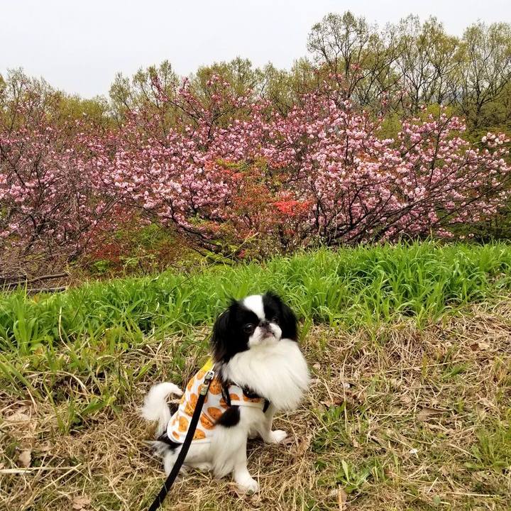 Cdd0bbad 058b 46dc b508 02e4bd423750 1650532715020