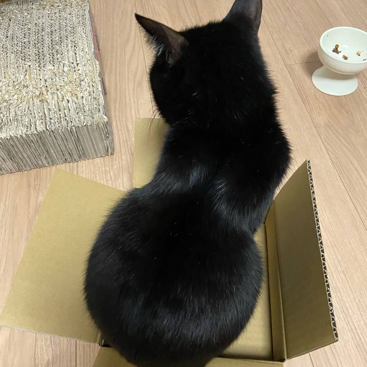 Cdd0c4ac 6bb2 4010 8ff2 a3ba18fbe220 1674215346040