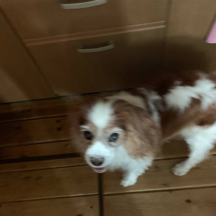 Cdd0d75d d26a 4664 8f86 14efd92054ec 1621396177456