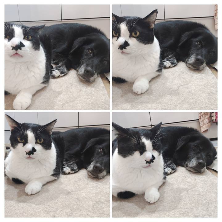 Cdd10ba5 352d 48d6 bbd2 0803654ae291 1759621847320