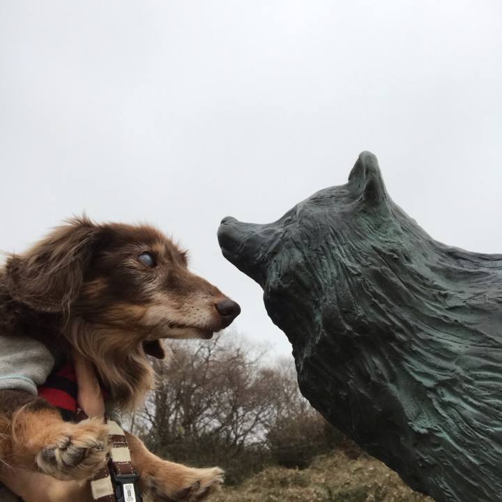 Cdd14aa3 69d2 478c 8b25 49391db0f412 1578378830206