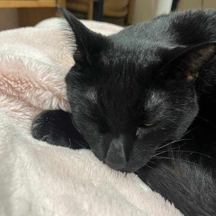 Cdd17c52 56e2 41d5 8dd9 4d617189cfb7 1739016795391