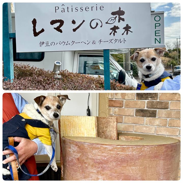 Cdd18b59 4222 4c6f 9e57 22393b73b0fe 1678071607192