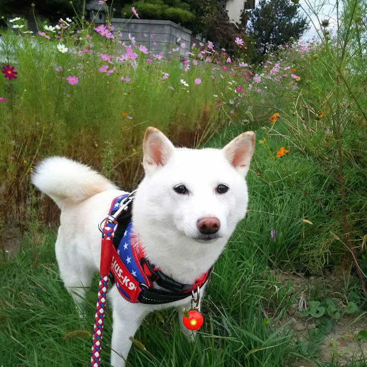 Cdd1984c 3dad 45bb a123 638b462dd1c7 1601715804922