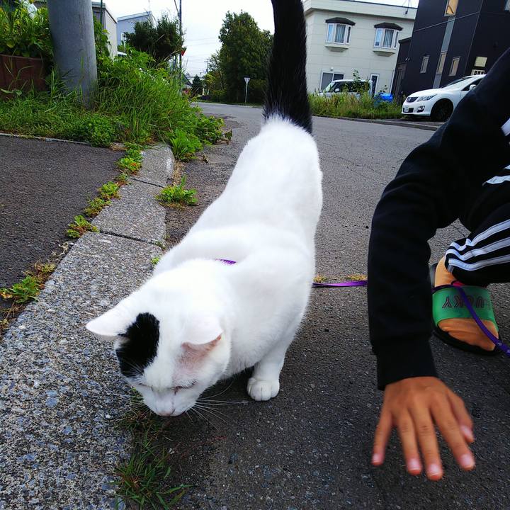 Cdd1a1d5 2437 40a8 a0ec eddb51147a3f 1599433097039