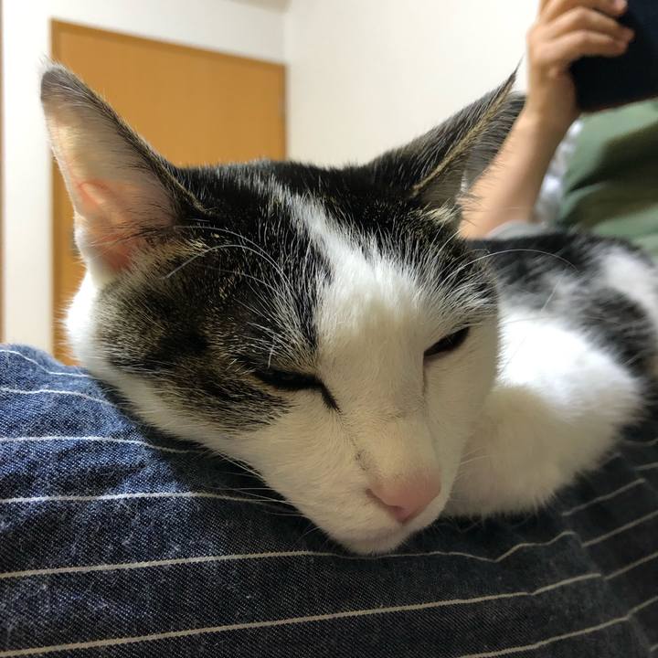 Cdd1ceb8 4fa1 43fd 95f8 89c45076c0b5 1713958479020