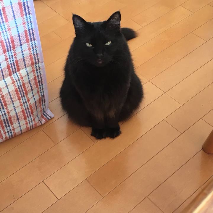 Cdd1f779 e09d 461a b20a 7cc1021bd641 1522905453829