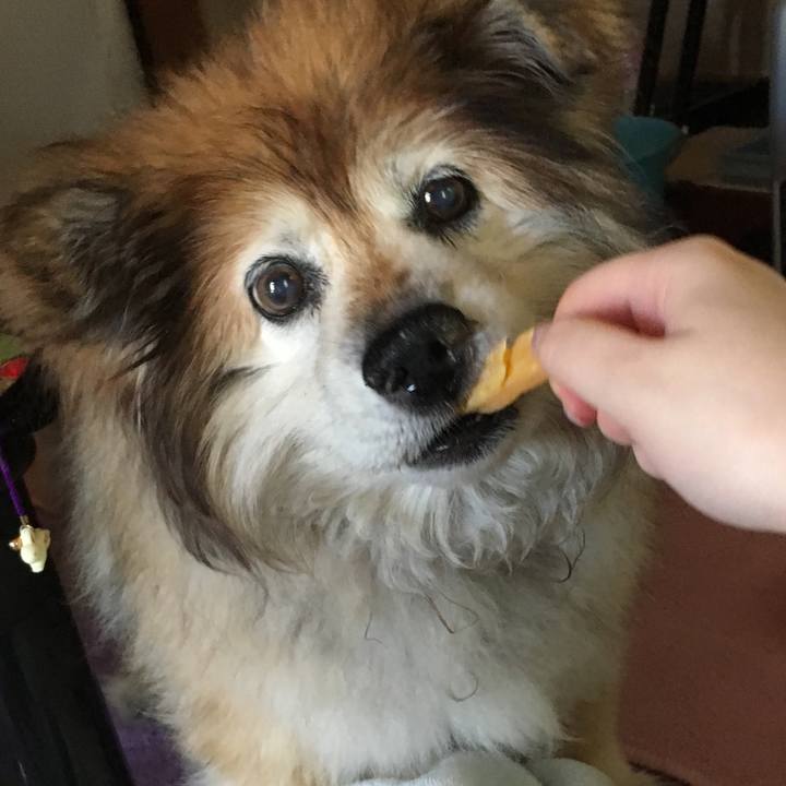 Cdd25a2e 7501 4484 a517 1afe6791d7cf 1559089370846