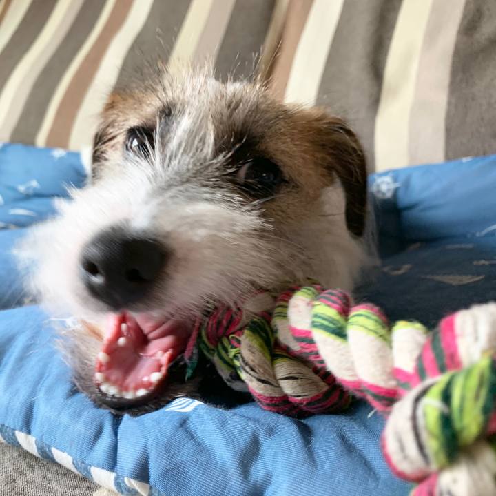 Cdd29c75 178b 474f ba00 767cd812d22f 1566864452241