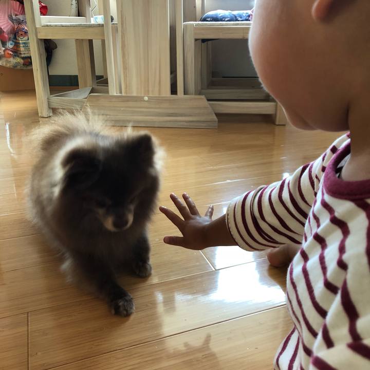 Cdd2c189 49b6 4534 9fc6 19419787ce8e 1563089460067