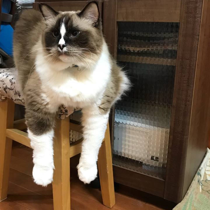 Cdd2df3a da9c 4f9d a502 751c4920ebba 1511365391031