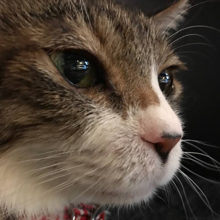 Cdd2e1c3 19b0 49a3 a5a1 47d62f82fc79 1566039346576