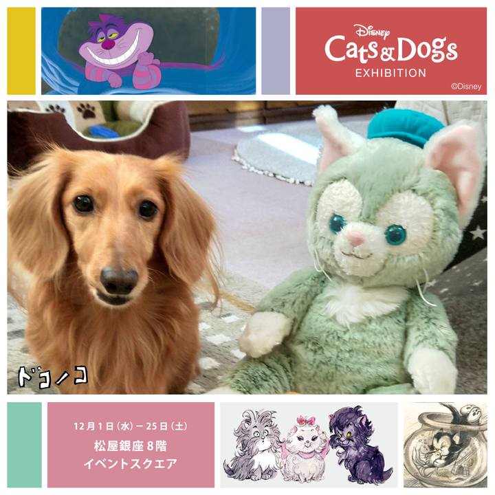 Cdd2ec73 9119 4b88 b332 a7e8cbd7c3b6 1638434642828