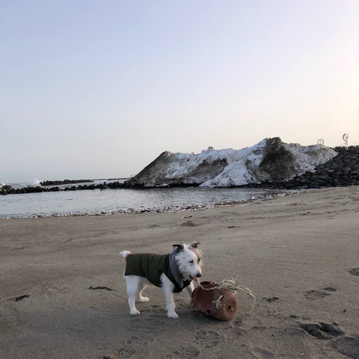 Cdd32438 a00b 4a6e 8b28 8b85135279a1 1610665926426