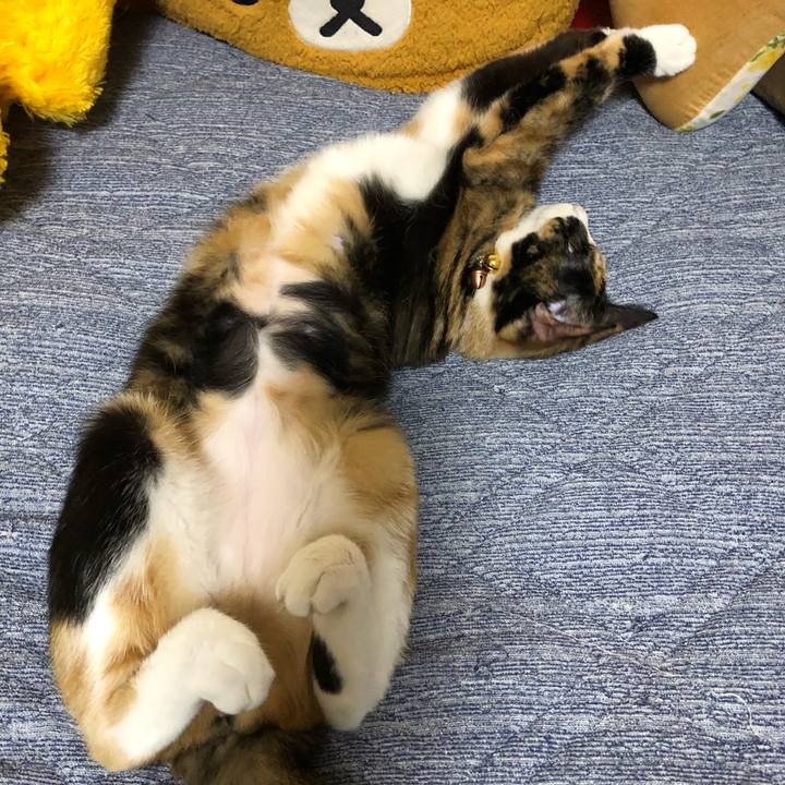 Cdd36987 b63b 41ec 92c8 d430d1a2769d 1566301782081