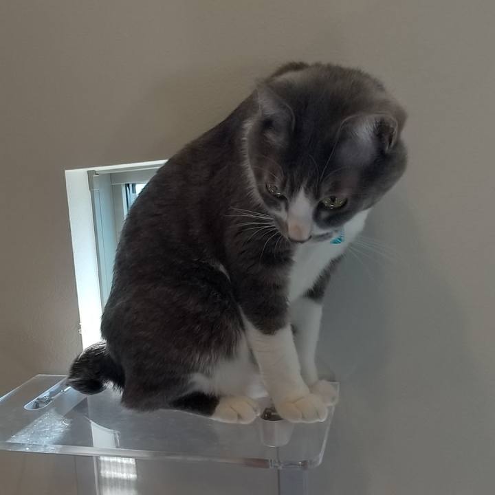 Cdd3a93b 3a65 4c1a a225 cc0e6128d031 1617842686145