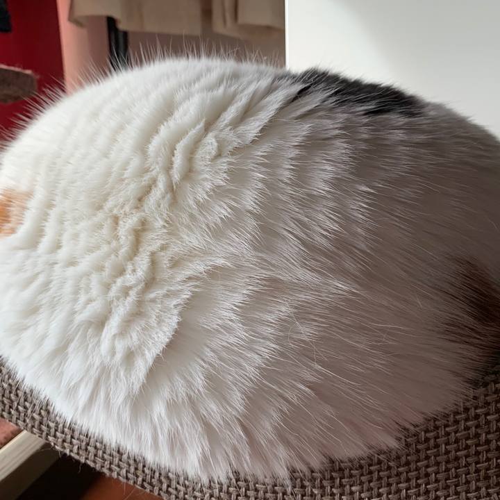 Cdd3bf6a 68fb 4600 9b6f 50a63f8b579b 1566686143025