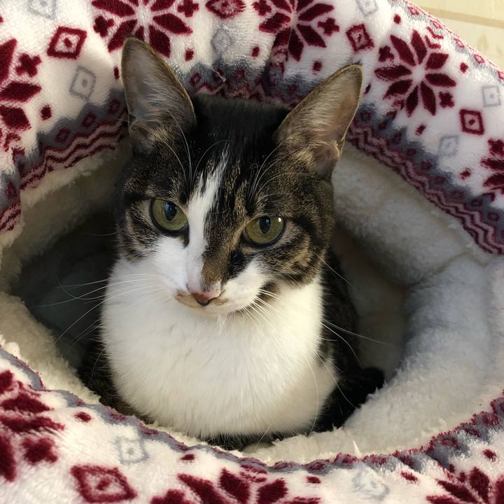 Cdd3c54d 61ff 4cc2 97aa f63fdb22836b 1547928934153