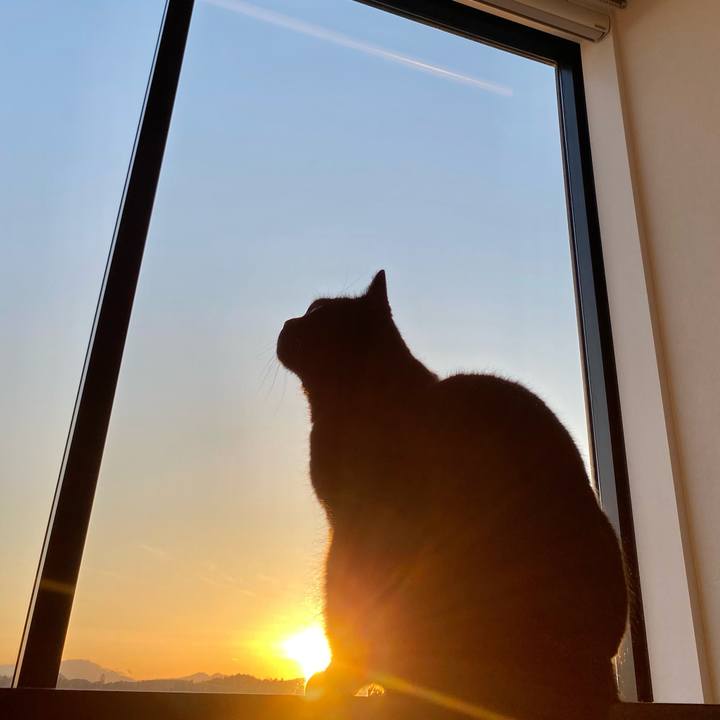 Cdd3c7f9 c772 4b0b 8622 e79f4f5fd0a6 1615796972633