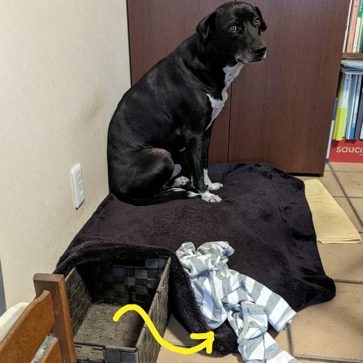 Cdd3e61f c481 48ee 90a1 98e8f9efafab 1675422101111