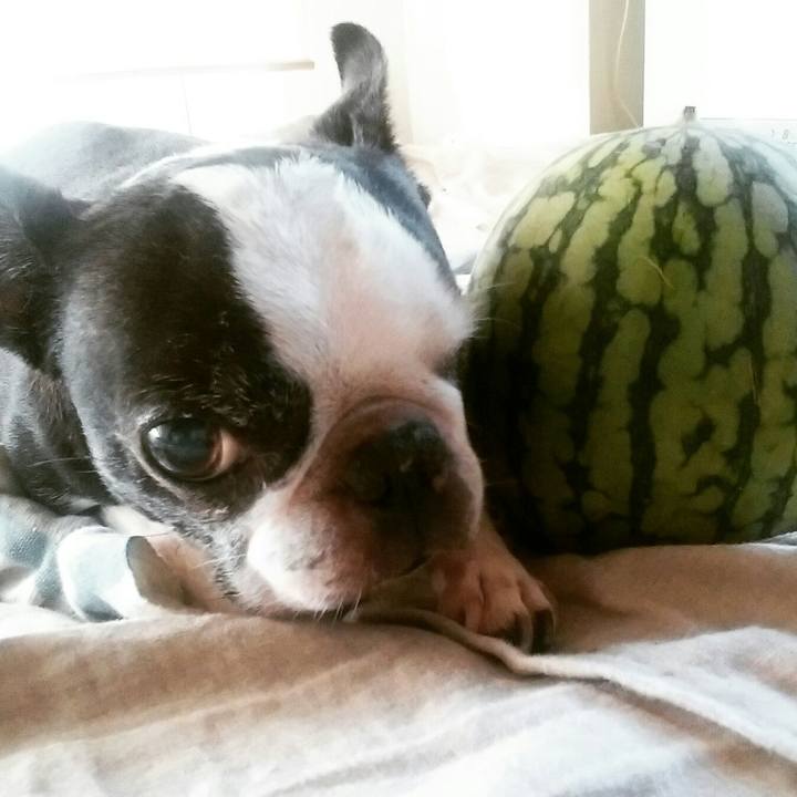 Cdd3ebb5 db46 4354 b6db 91144c889f4c 1531053308878