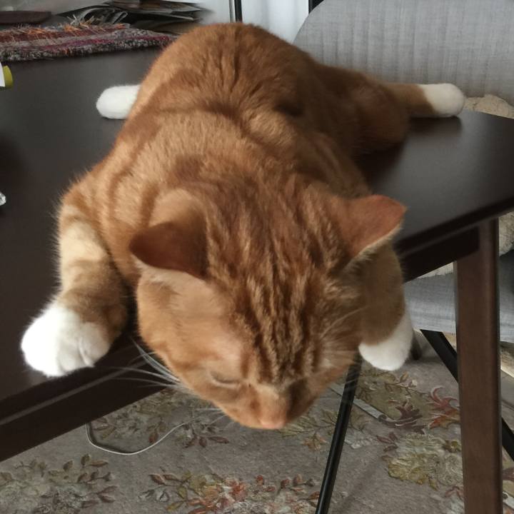 Cdd40843 005a 4533 8ff6 50c249cfc9d0 1527802798053