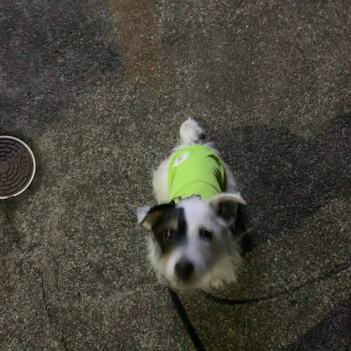 Cdd41ab7 a136 438c ac95 72deb14d0dc6 1716813342538