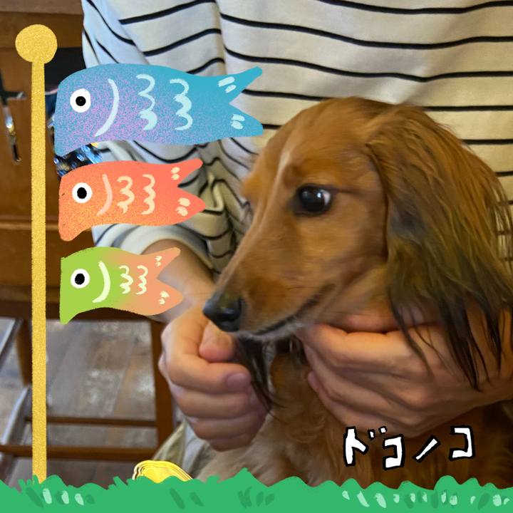 Cdd44109 f51a 4eae 8465 1ddf99f3d0cb 1715047423774