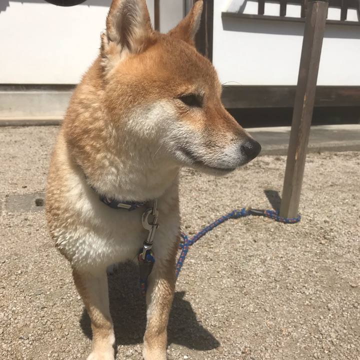 Cdd44b3d a6dc 48dd b01b 5656706b4ef6 1554436286995