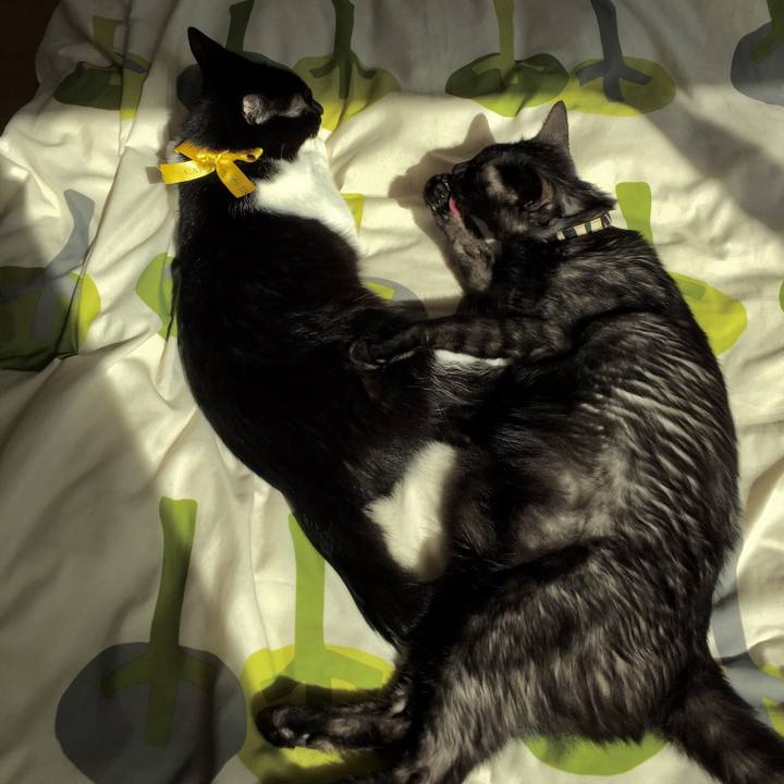 Cdd45dd7 fc53 4f9a 982e be10c1e750a6 1537688566747