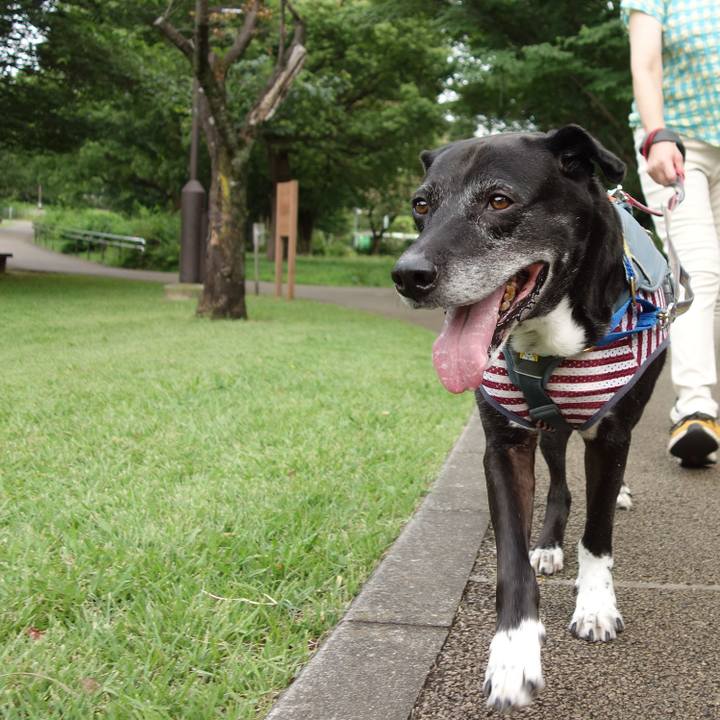 Cdd468f3 807c 4853 a9d9 18847bd69949 1750637081547