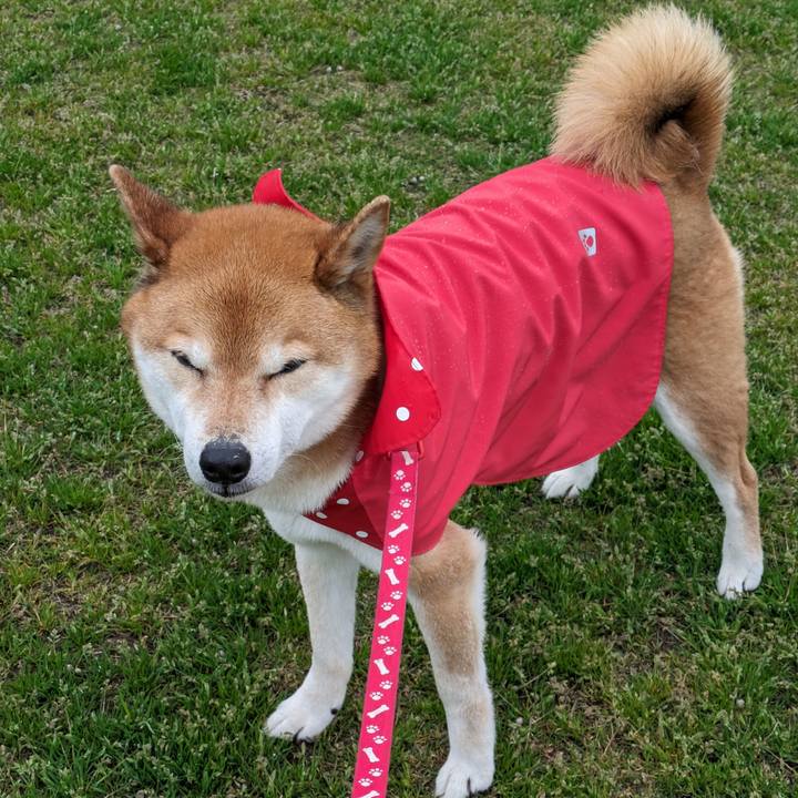 Cdd485e1 7ffb 462d ad83 3c432a417042 1712128154247