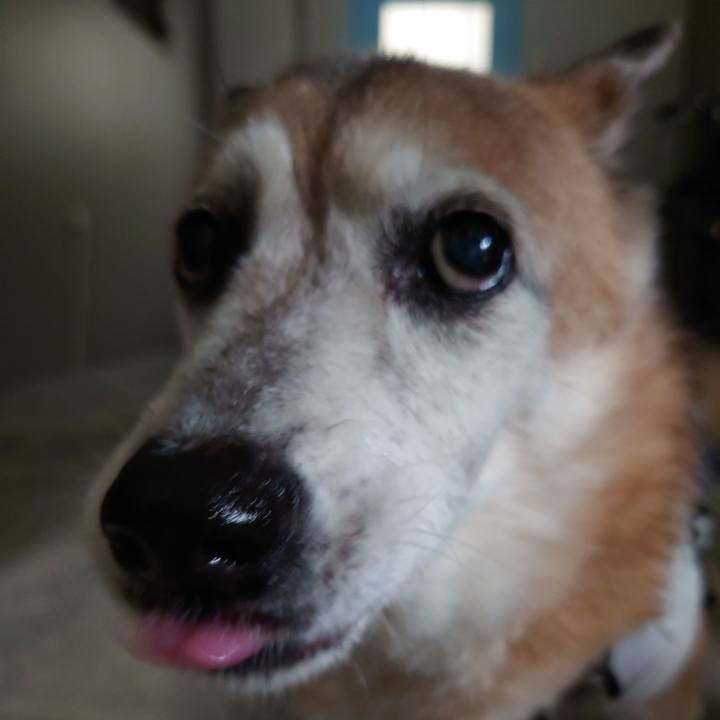 Cdd48dd0 4eeb 45ec 8a8a 8ad21976c704 1713420793382