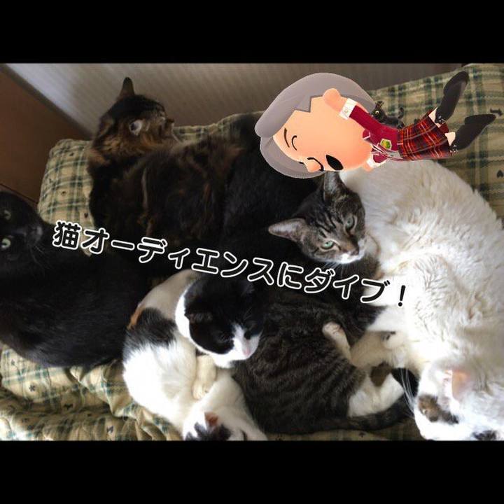 Cdd4afcc f409 4751 b1b4 ef07141ce76a 1524652374586