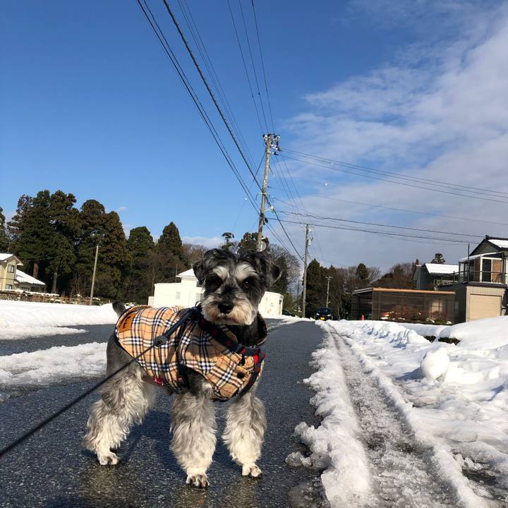 Cdd4b105 c883 4c30 baff 27bbb3c0a528 1641182387758