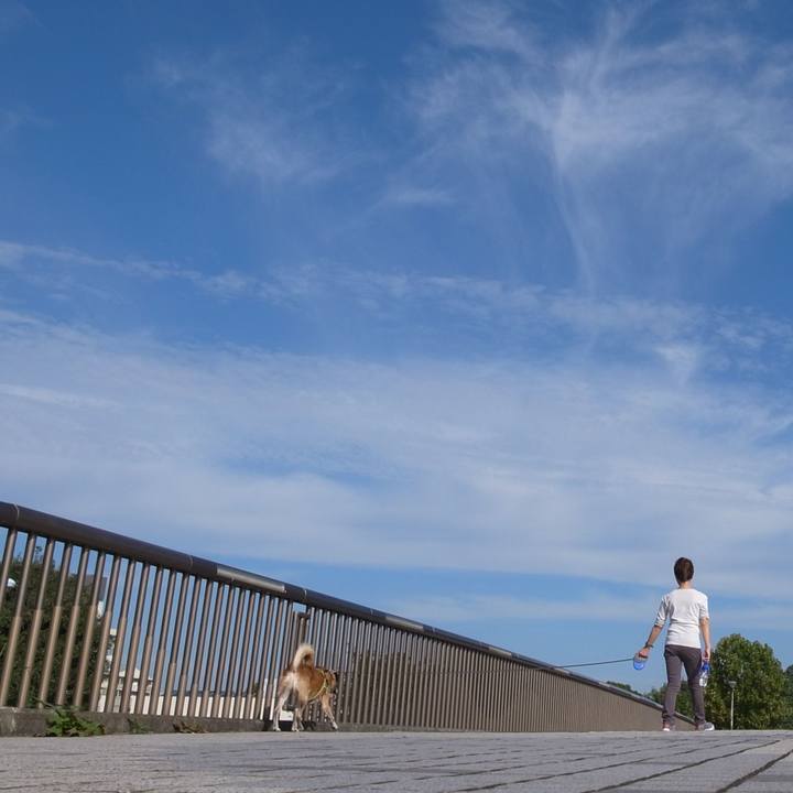 Cdd4bf05 a37c 4d8b 98a7 c5982485b86d 1590970546214