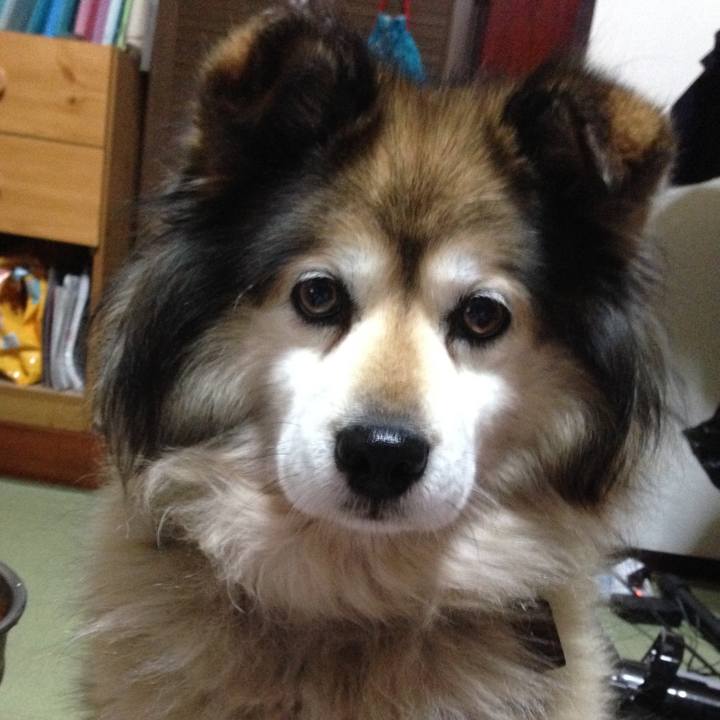 Cdd51697 2c45 4c21 996e d96c2dc6abd1 1575787085713