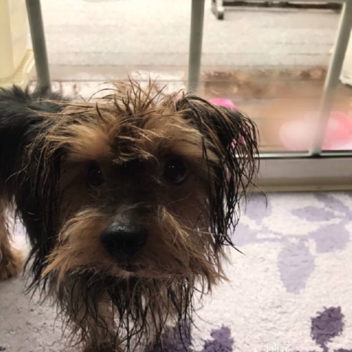 Cdd5744c e8c7 485d 8286 c21919677b6f 1521604429229